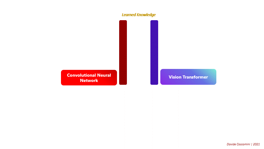 Visualization of ViT vs CNN learning