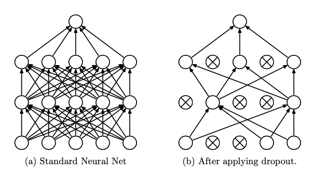 Without and with dropout network
